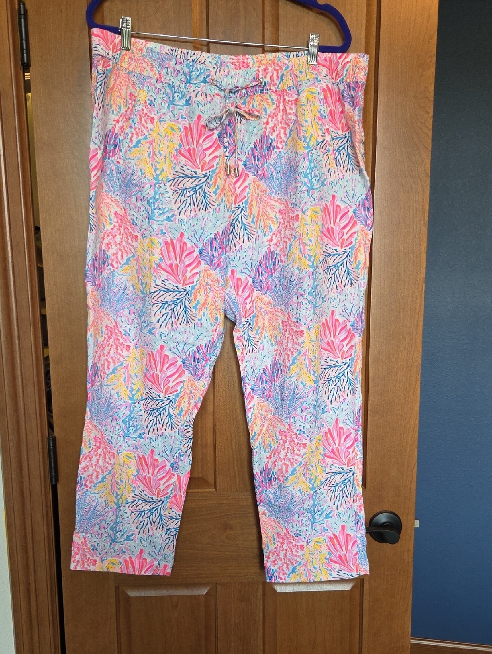 Lilly Pulitzer Taron Linen Pants NWOT